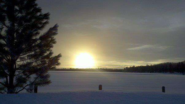 400298_2929510844687_552185617_n